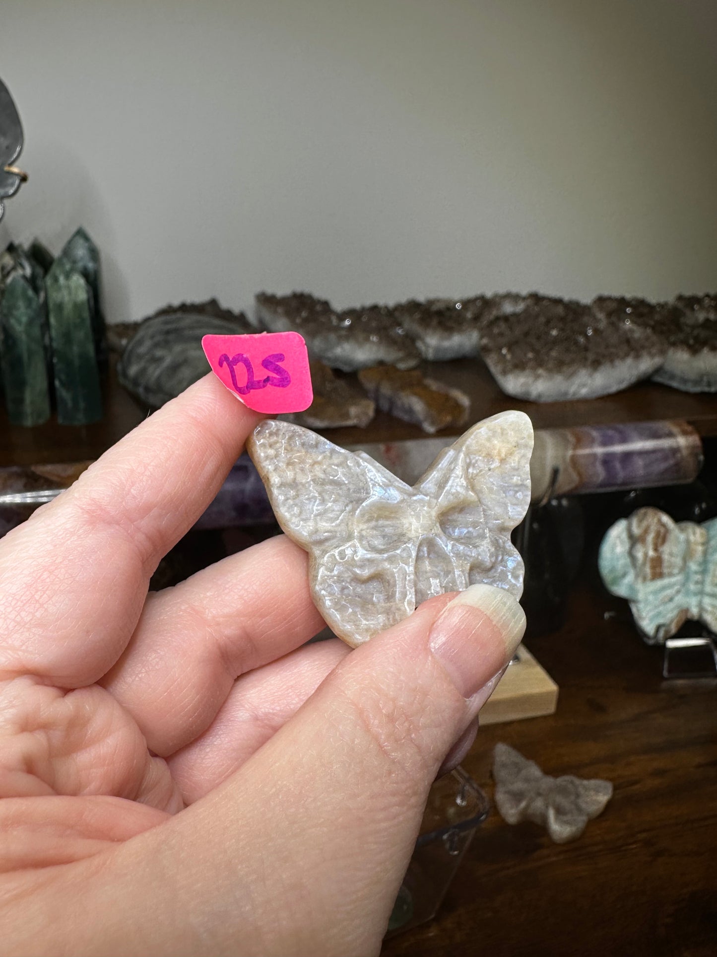 Moonstone Dead Head Moth