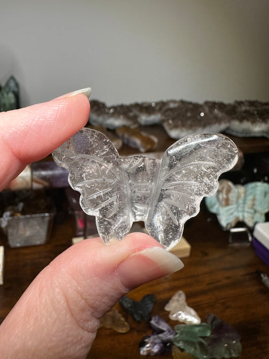 Mini Butterfly