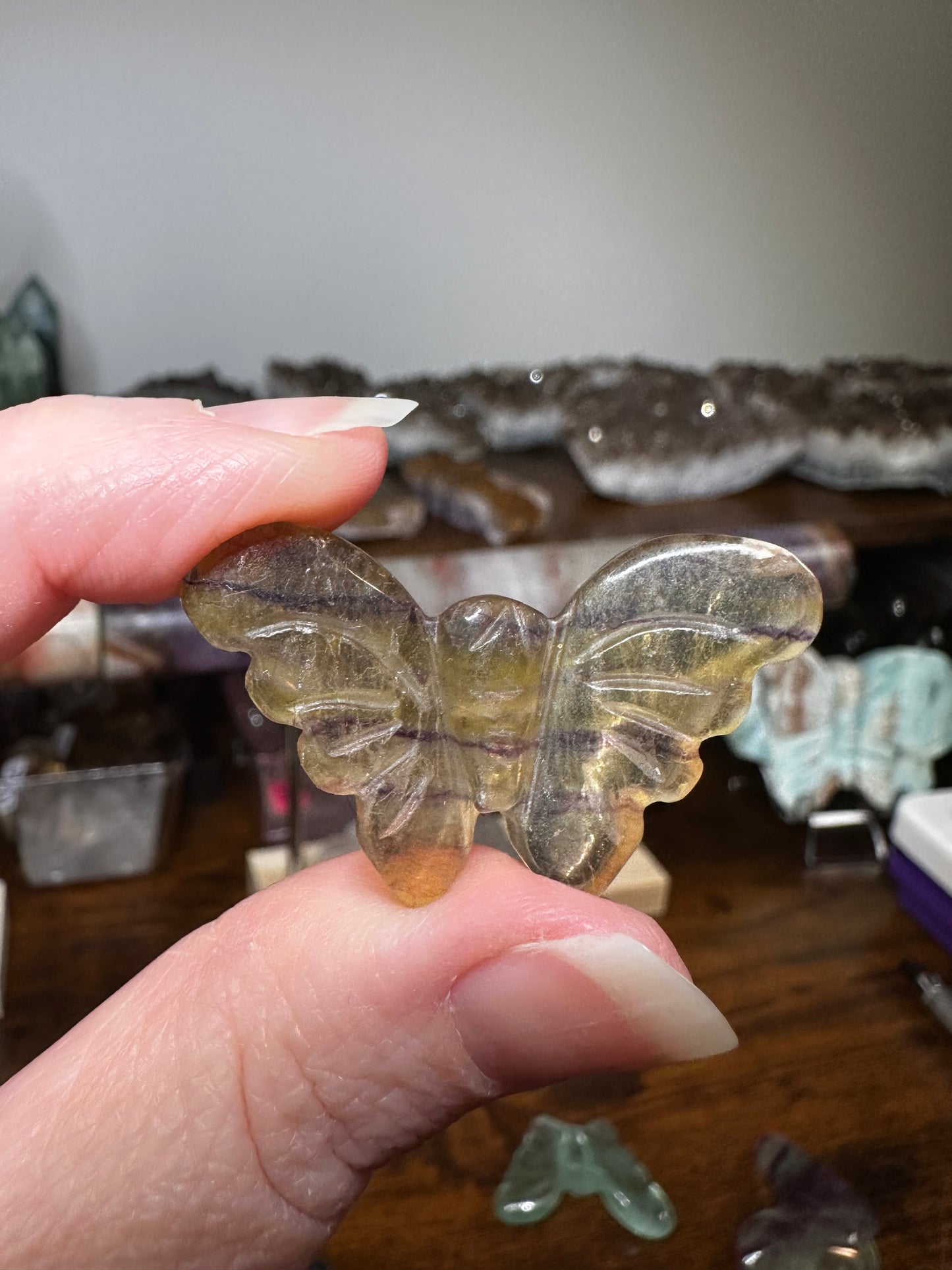 Mini Butterfly