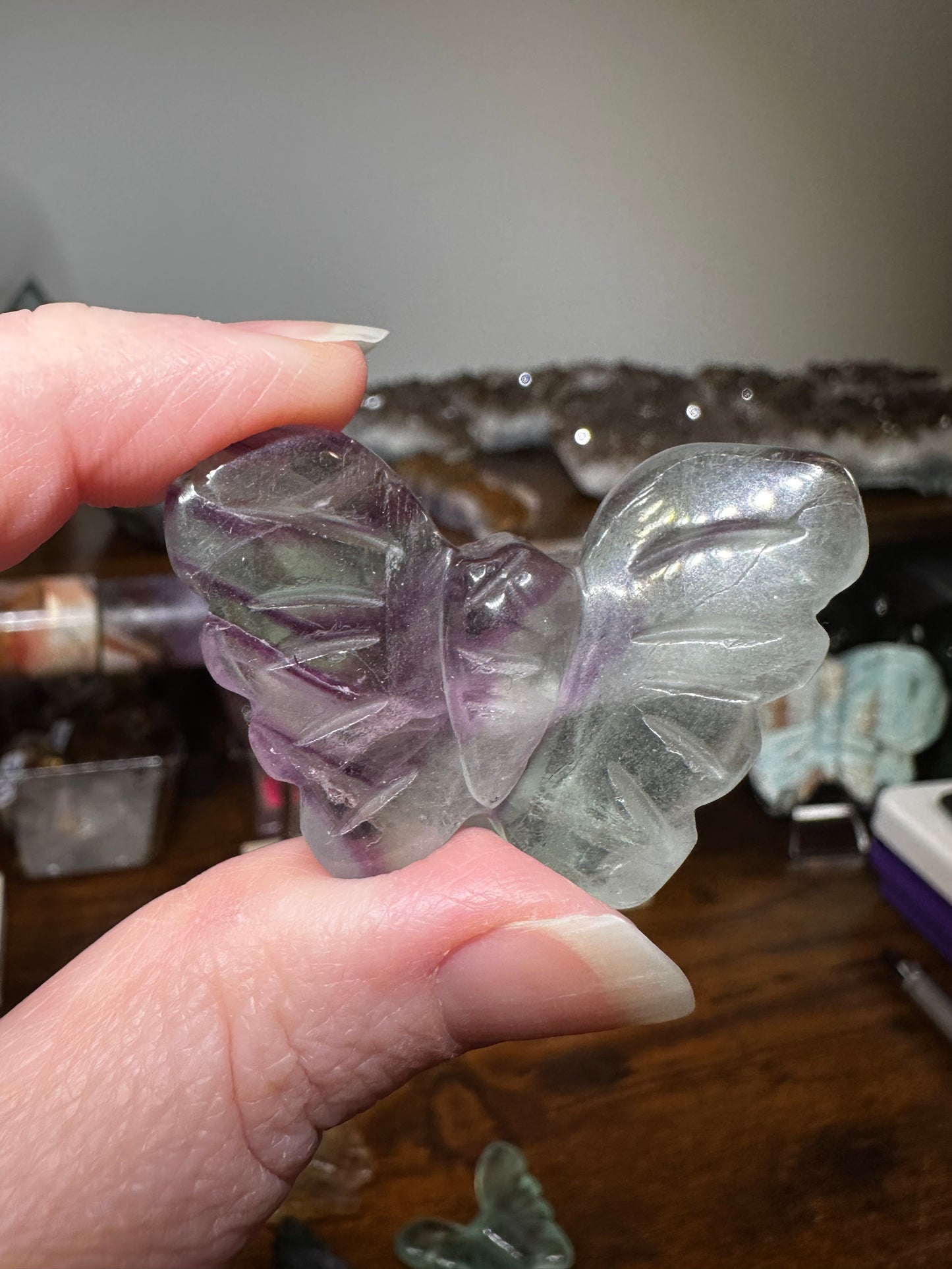 Mini Butterfly