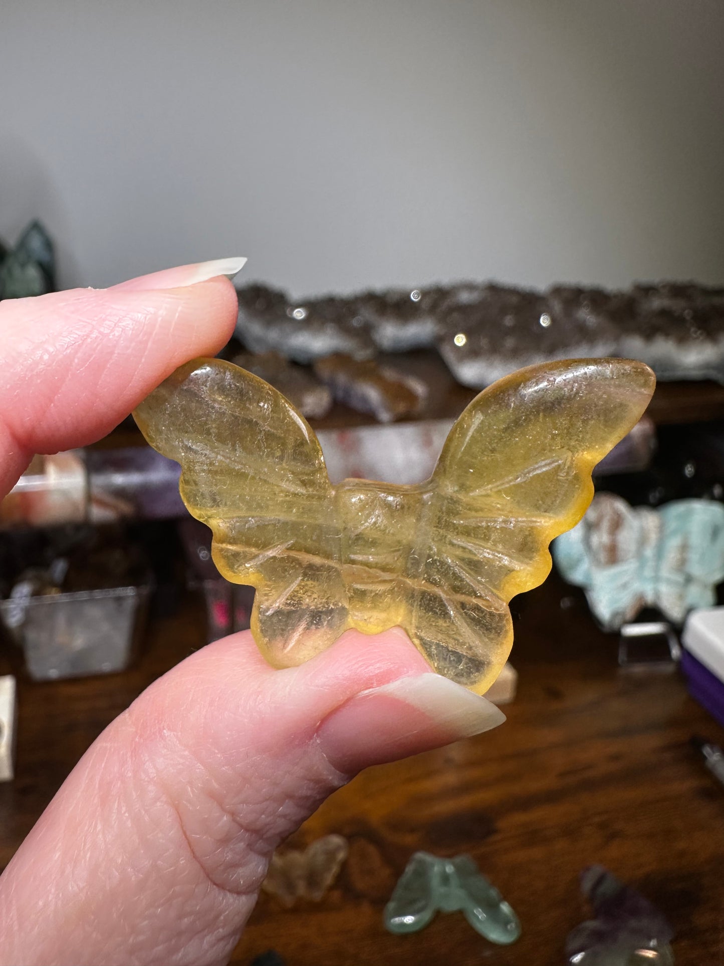 Mini Butterfly
