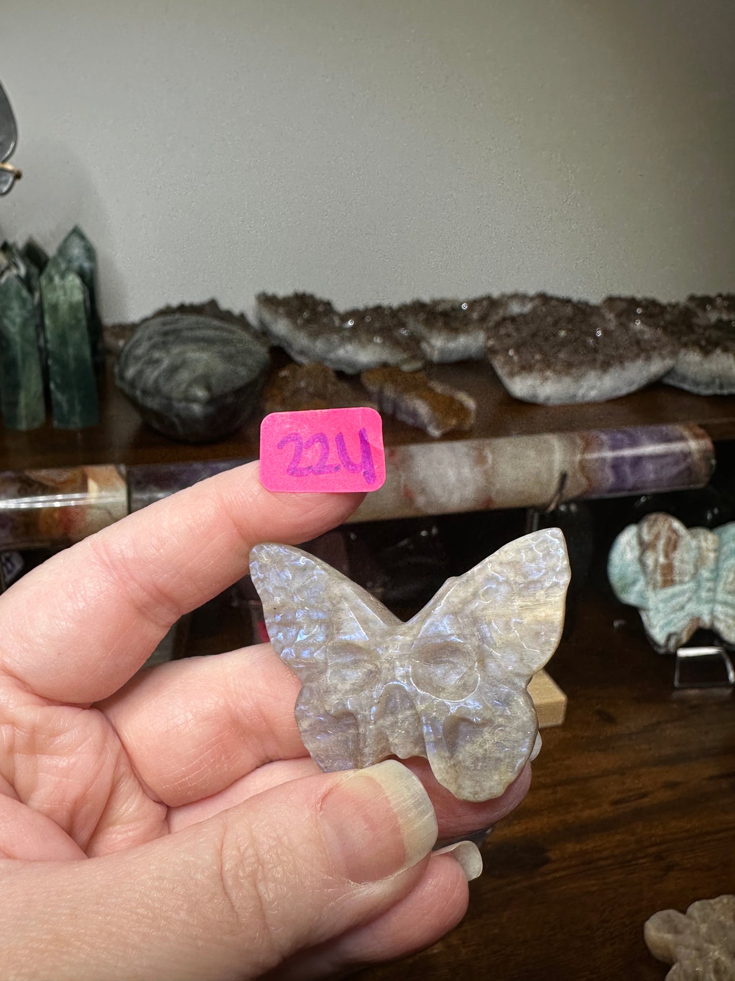 Moonstone Dead Head Moth